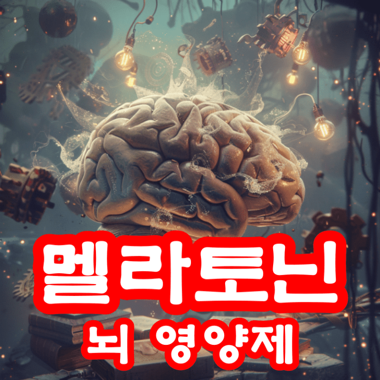 뇌 영양제 멜라토닌