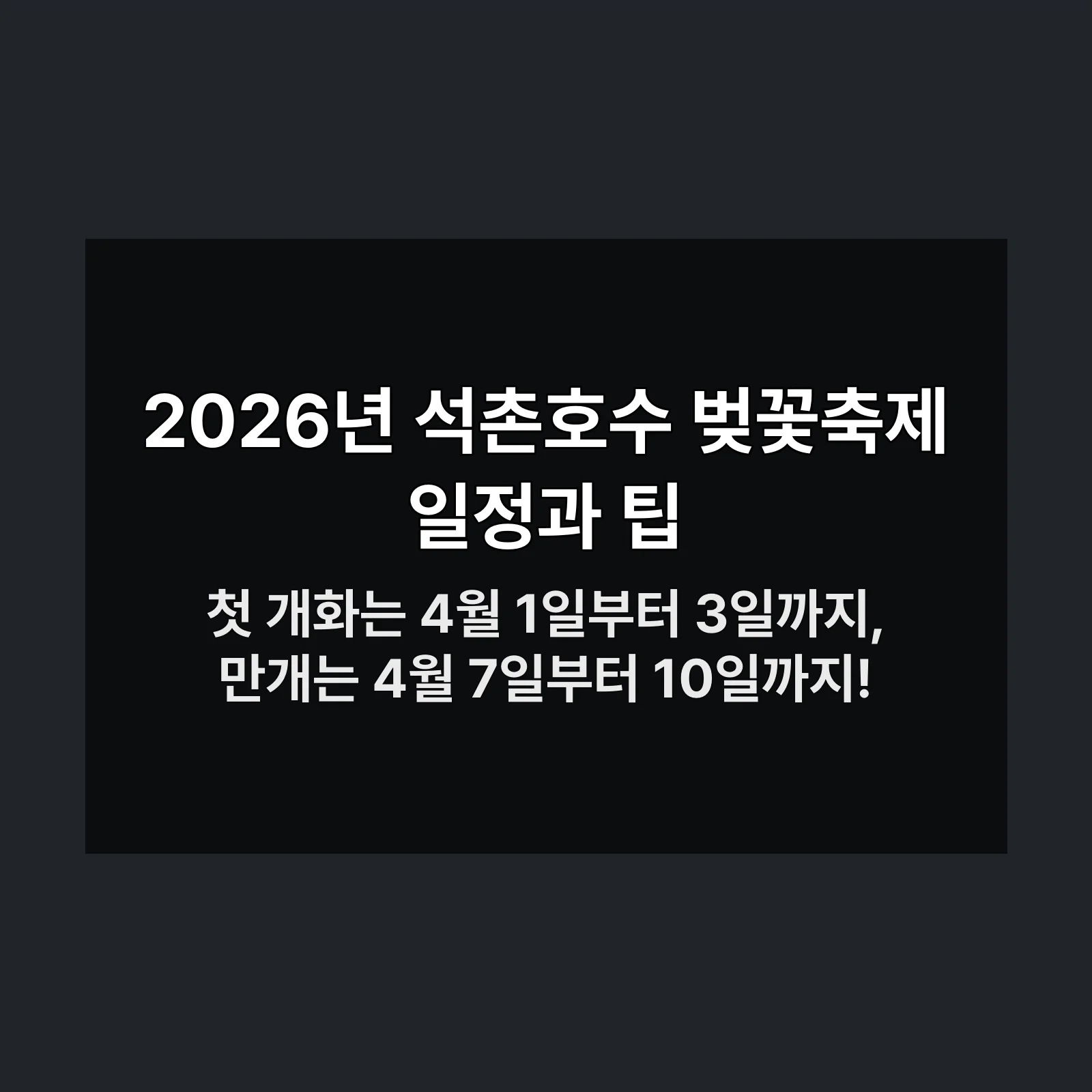 석촌호수 벚꽃축제