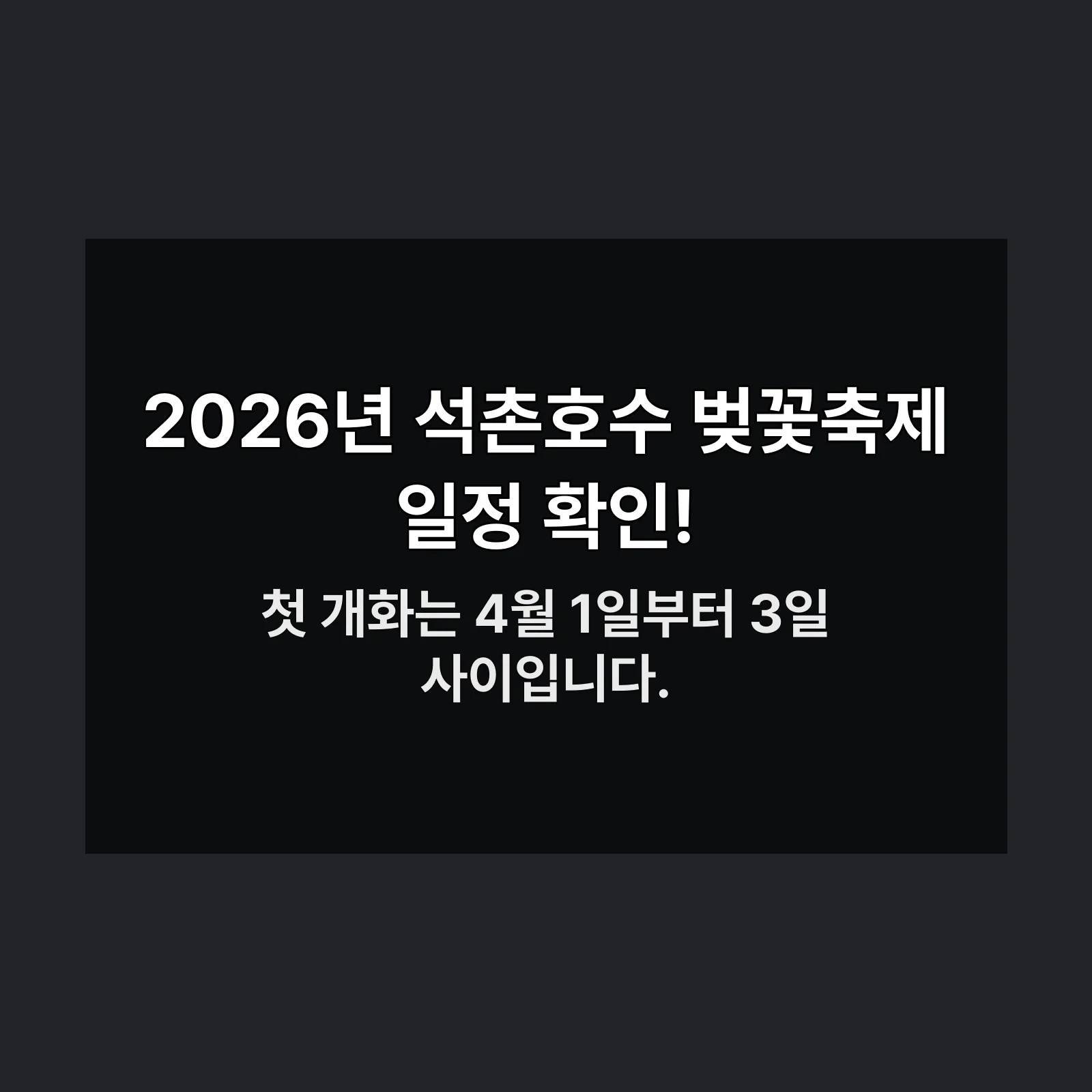 석촌호수 벚꽃 만개 시기